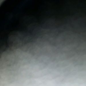 Meet your Posher, Julissa